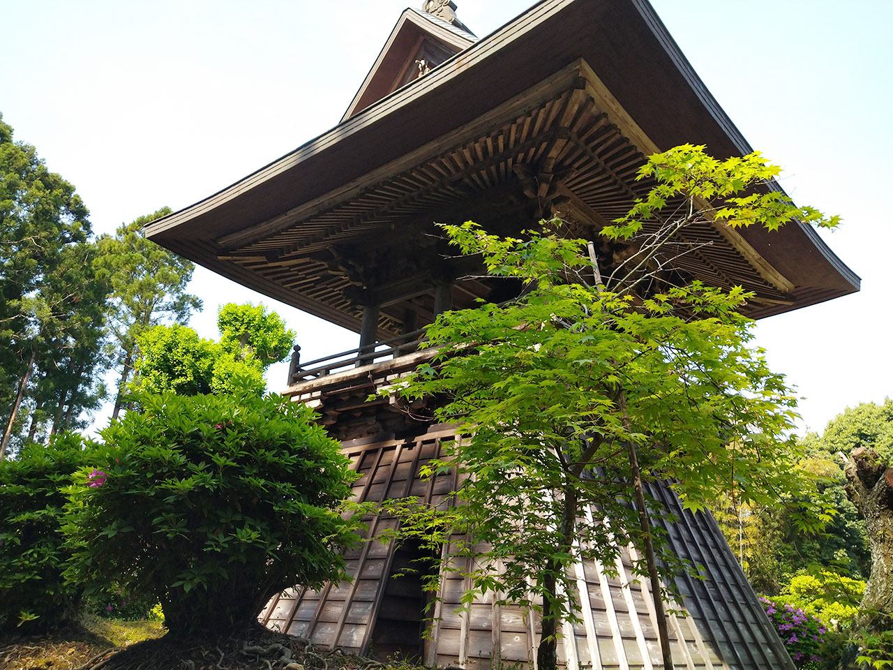 緑に映える「鐘楼堂」は来迎寺を象徴する建造物です